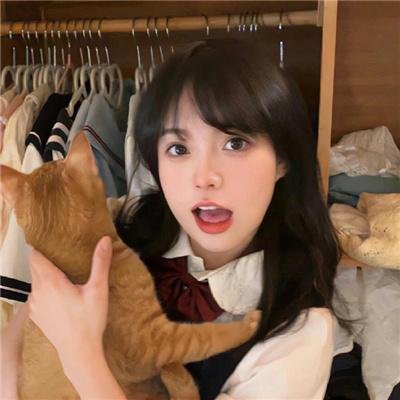 银狐